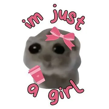 The 'im just a girl' sad hamster meme