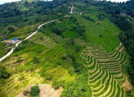 Aerial view of the Gallano Rice Terraces on the hillsides of Aringay
